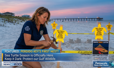 The Escambia County Sea Turtle Patrol has officially recorded the first Loggerhead sea turtle nest of the 2026 season on the shores of Perdido Key. This momentous event marks the start of a critical time for endangered marine life in Northwest Florida and a annual call to action for the local community.
