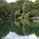 Serene lake with trees and wooden dock