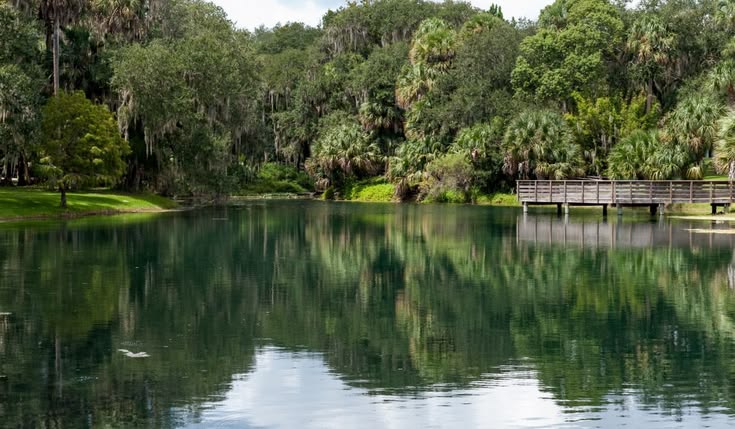 Serene lake with trees and wooden dock
