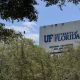 University of Florida sign behind trees