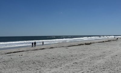 People walking along sunny ocean beach shoreline