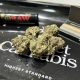 Cannabis buds on rolling tray with RAW papers