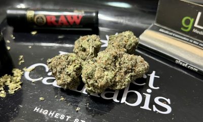 Cannabis buds on tray with rolling papers