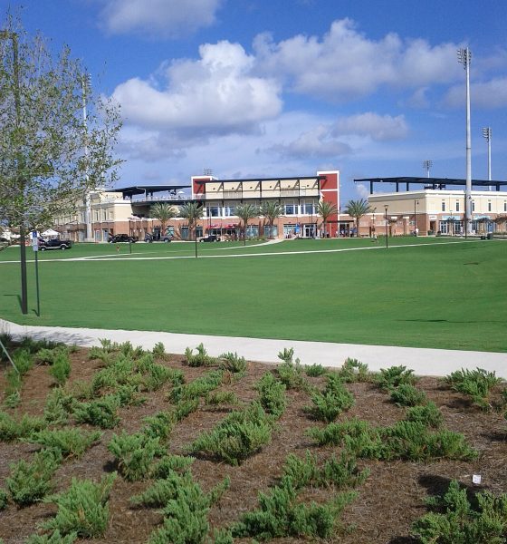 Blue Wahoos Stadium
