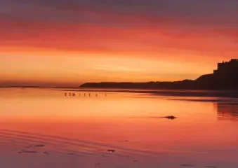 Vibrant sunset over calm beach shoreline