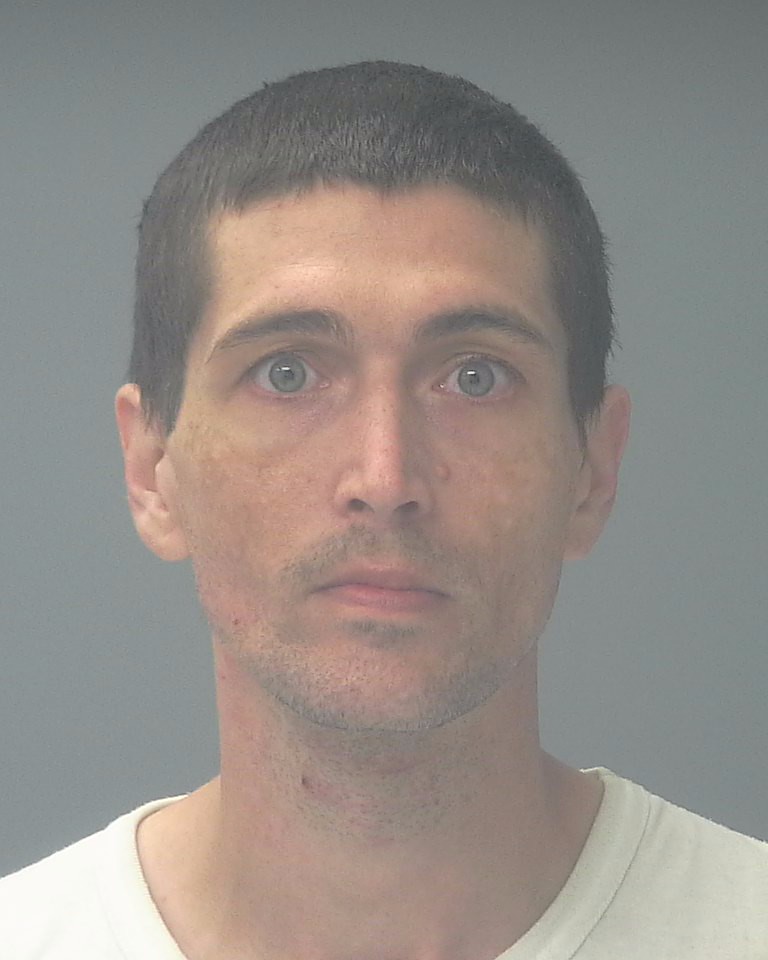 Enlarge Photo VANNESS, DARIN LEIGH ROY (W/ MALE ) Status: In Jail Visitation Status: Allowed Booking No: SRSO26JBN000529 MniNo: SRSO19MNI000716 Booking Date: 02/03/2026 05:35 PM Age On Booking Date: 32 Bond Amount: $0.00 Address Given: 6830 PANZIK LN MILTON FL 32570