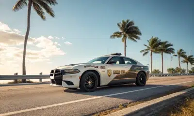 Sheriff patrol car on palm-lined coastal road