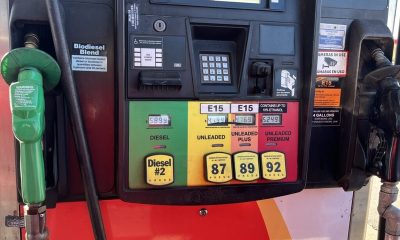 Gas pump with biodiesel and unleaded options