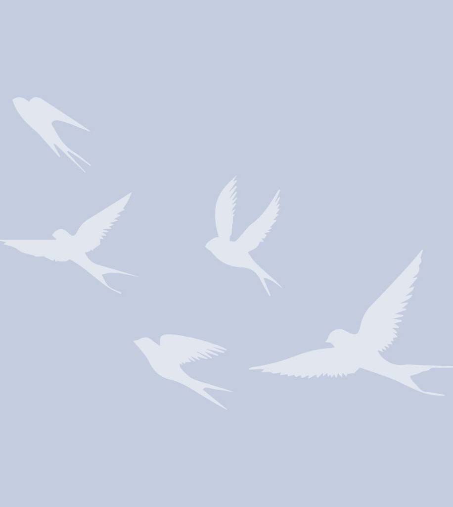 White bird silhouettes flying on light blue background