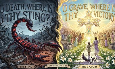 Split image of death’s sting and Christ’s victory The Hidden Word Daily: 1 Corinthians 15:55 — Victory Over Death