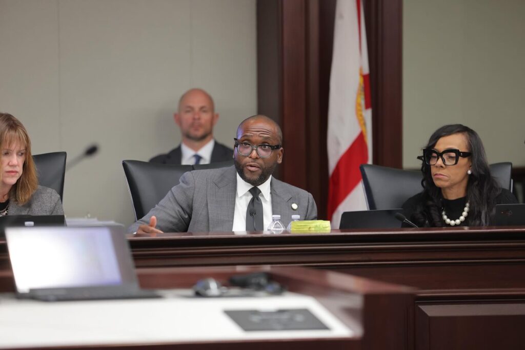 Officials speaking at government meeting panel