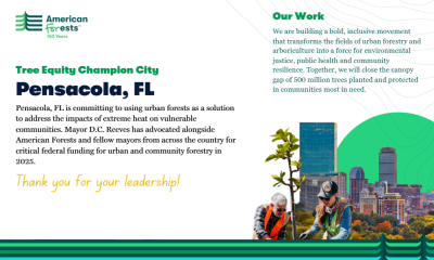 Pensacola Tree Equity Champion city urban tree planting
