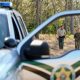 Sheriff vehicles frame officers walking in woods