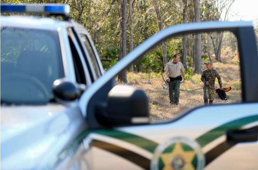 Sheriff vehicles frame officers walking in woods