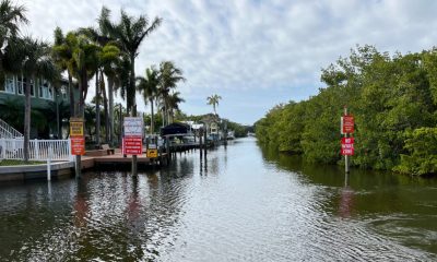 Narrow canal with palm trees and no wake signs