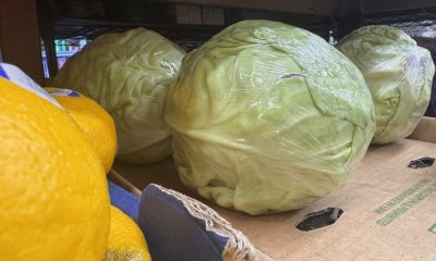 Plastic-wrapped cabbages on grocery store shelf