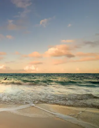 Ocean waves at sunset with pastel sky