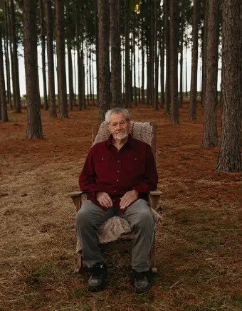 Older man sitting in chair in pine forest