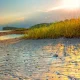 Sunset over sandy beach with tall grasses
