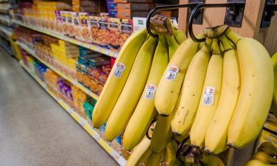 Bananas hanging in grocery store produce section