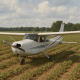 Emergency Landing of Plane in Peanut Field Near Pensacola
