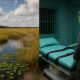 Florida Politics Weekly Roundup: Environmental Lawsuit Dropped and Upcoming Executions