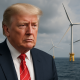 Impact of Federal Wind Project Changes on Florida's Energy Future