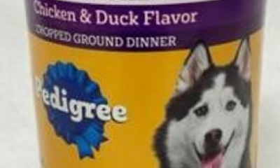 Can of Pedigree high-protein chicken and duck dog food
