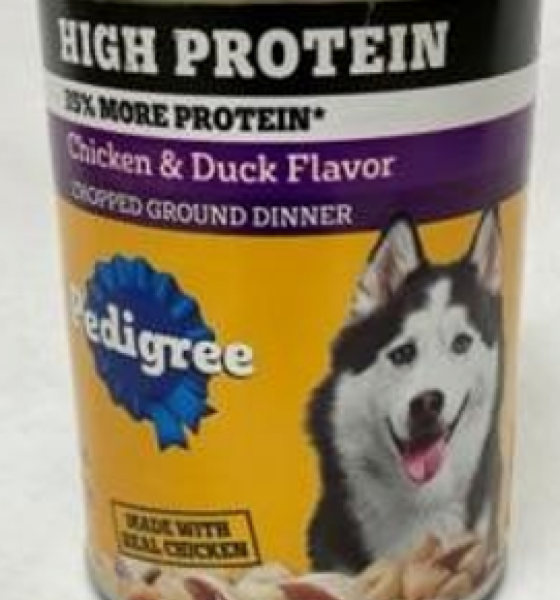 Can of Pedigree high-protein chicken and duck dog food