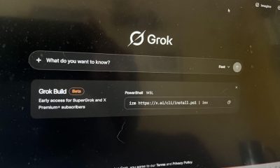 Grok Build beta interface on computer screen