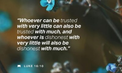 Blue flowers with Bible verse Luke 16:10