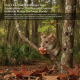 New Tick Study Challenges Deer Assumptions as Tick-Borne Health Concerns Mount Across Northwest Florida