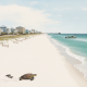 Pensacola Beach’s $35 Million Sand Renourishment Protects Coastline, Bolsters Economy and Wildlife One Year Later
