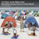 Turf Wars on the White Sand: Navigating Canopy Chaos at Casino Beach