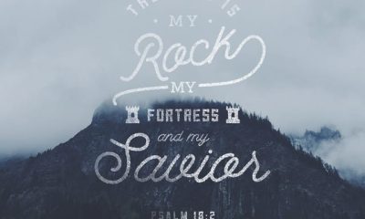Psalms 18:2 — Daily Bible Verse — Psalms 18 2 meaning
