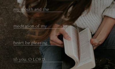 Salmos 19:14 — Psalms 19 14 meaning
