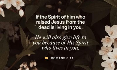 Romanos 8 11 explicacion — Romans 8 11 meaning