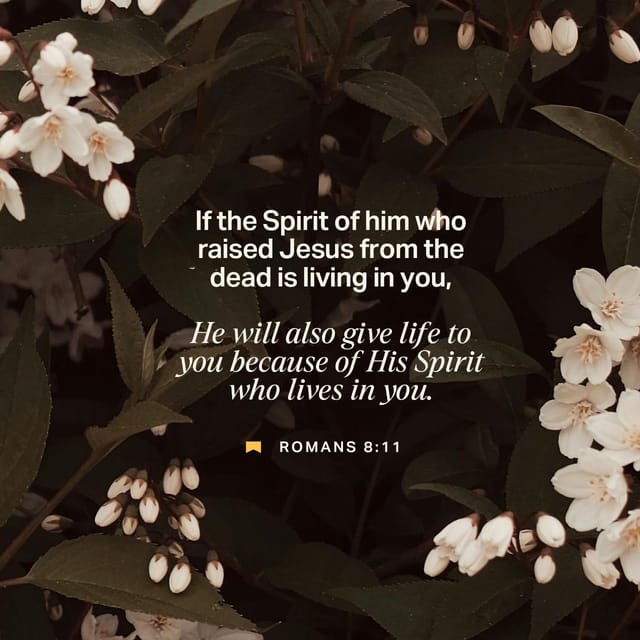 Romanos 8 11 explicacion — Romans 8 11 meaning