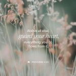 Proverbios 4:23 explicación — Proverbs 4 23 meaning
