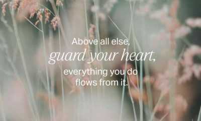 Proverbios 4:23 explicación — Proverbs 4 23 meaning