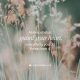 Proverbios 4:23 explicación — Proverbs 4 23 meaning