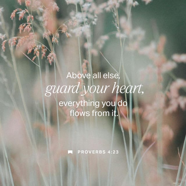 Proverbios 4:23 explicación — Proverbs 4 23 meaning