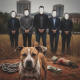 A group of men in suits stands behind a dog in a field, with money and dog fighting — Gainesville dog fighting indictment