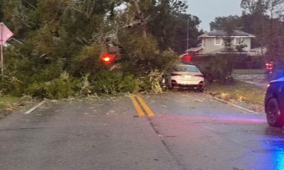 huracan isaias pensacola — Pensacola Hurricane Isaias Recovery