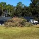 Pensacola debris collection