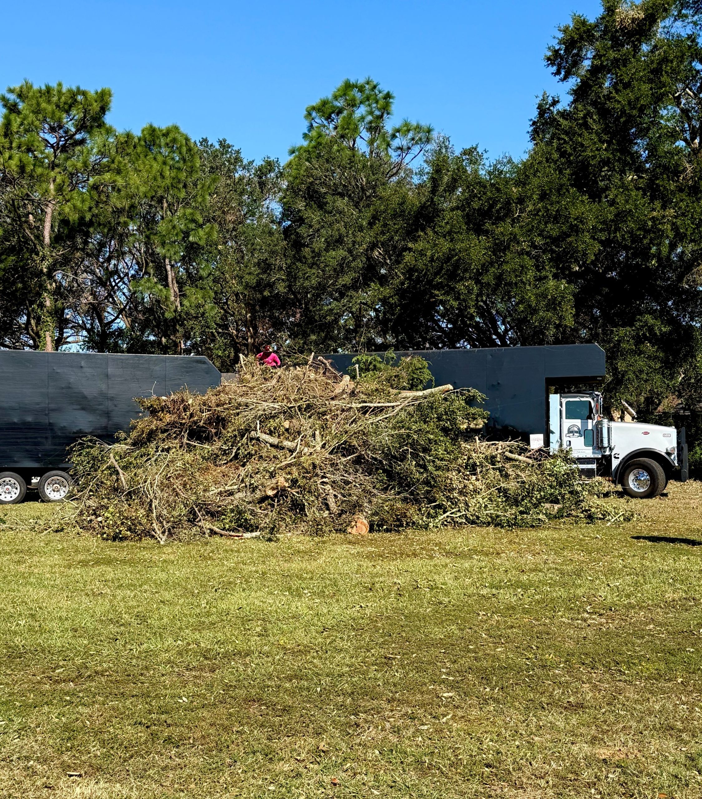 Pensacola debris collection