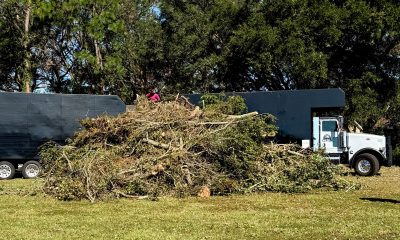 Pensacola storm debris collection with a large pile of branches beside a work truck and trailer