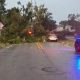 Pensacola Hurricane Isaias recovery — Hurricane Isaias Pensacola Recovery