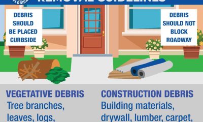 Post-storm debris removal guidelines with illustrations of debris types and p — Pensacola Hurricane Isaias recovery update