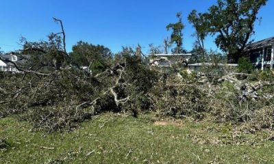 Downed tree branches and debris on a grassy area after Hurricane Isaias in Pensacola. — Pensacola Hurricane Isaias recovery